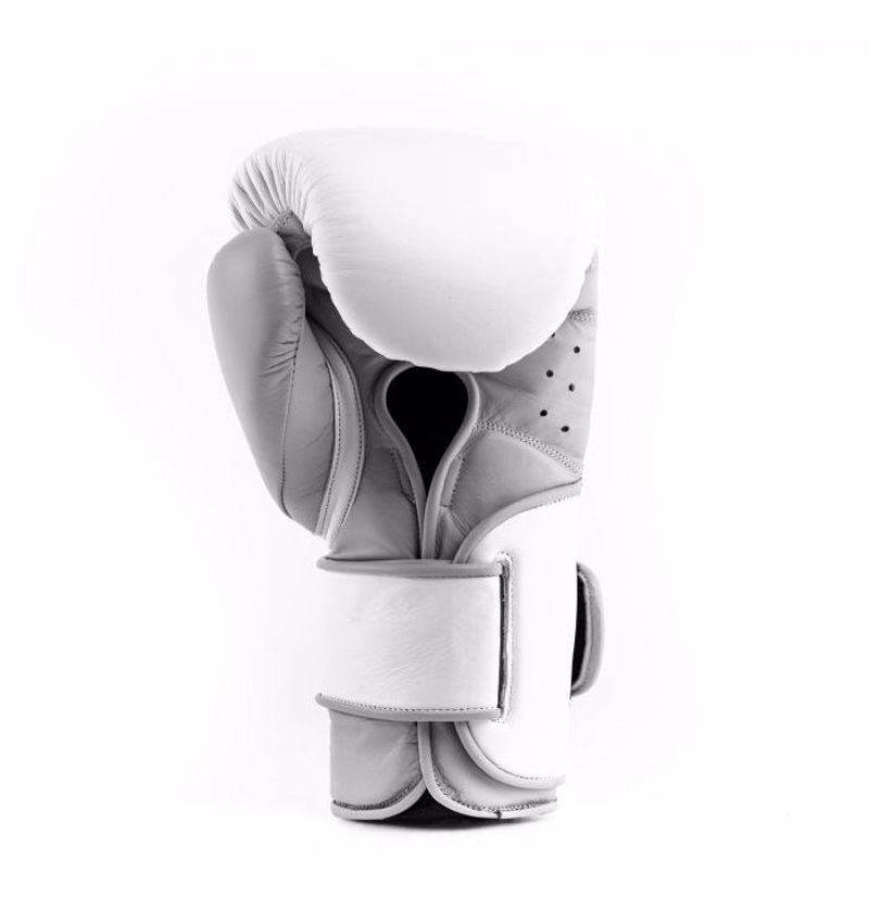 EVERLAST GNTIA PuGAXIAS dermatina ELITE powerlock 2- white